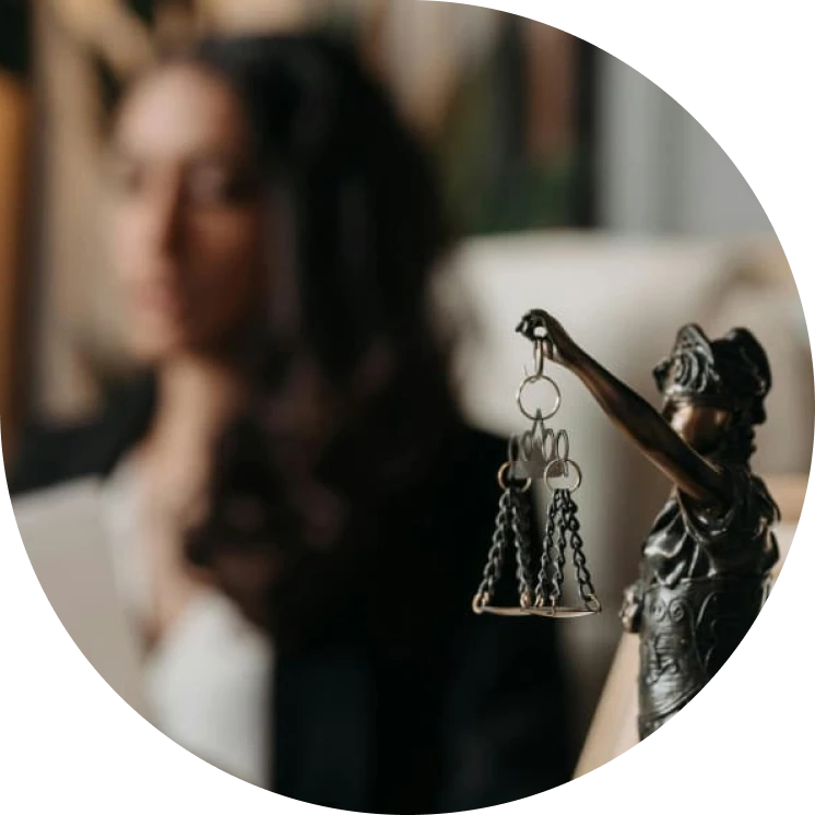 Litigation-intro-image